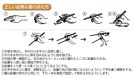 正しい鉛筆＆箸の持ち方