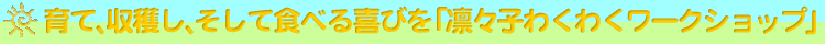��āA���n���A�����ĐH�ׂ��т��`�u�z�X�q�킭�킭���[�N�V���b�v�v